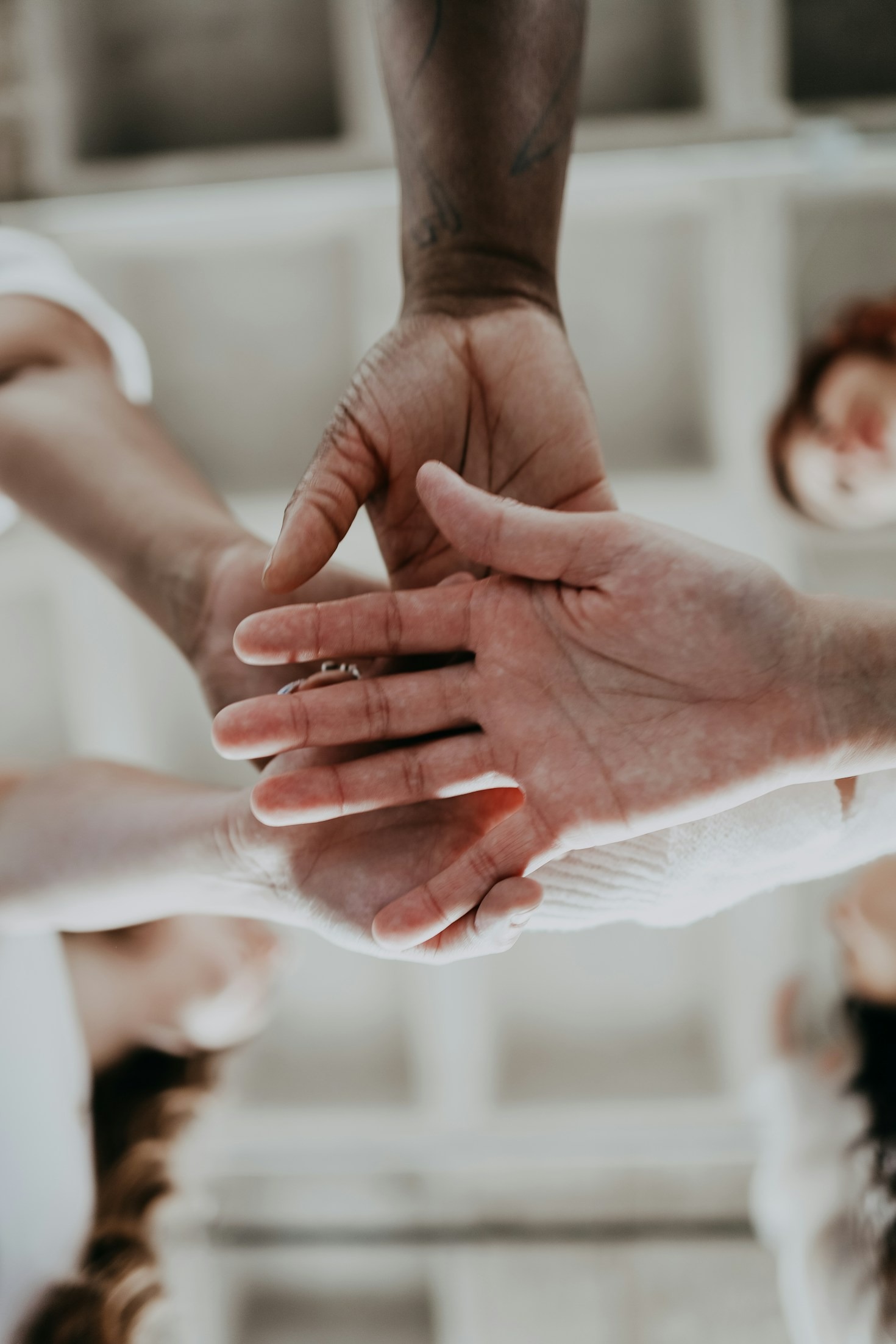 The Science Behind Collaborative Success