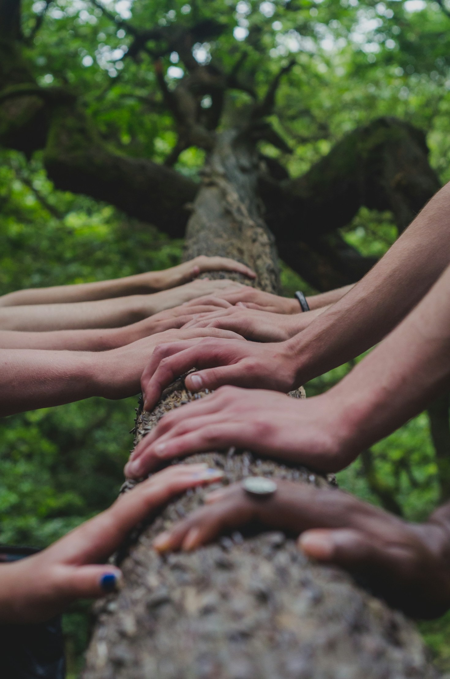 Unbreakable Unity: The Key to Collective Progress